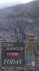 fire danger